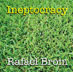 Ineptocracy Rafael Brom